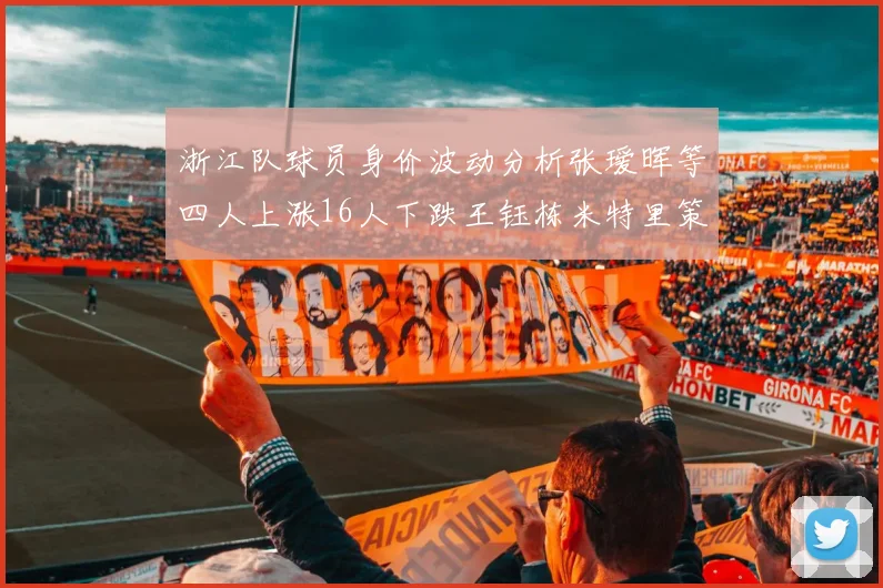 浙江队球员身价波动分析张瑷晖等四人上涨16人下跌王钰栋米特里策保持不变