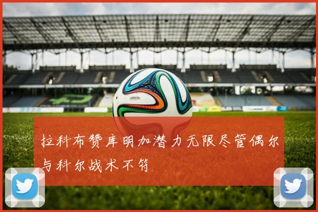 拉科布赞库明加潜力无限尽管偶尔与科尔战术不符