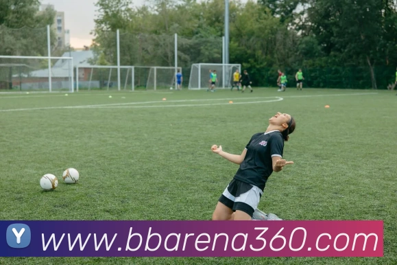 贝博体育服务体系